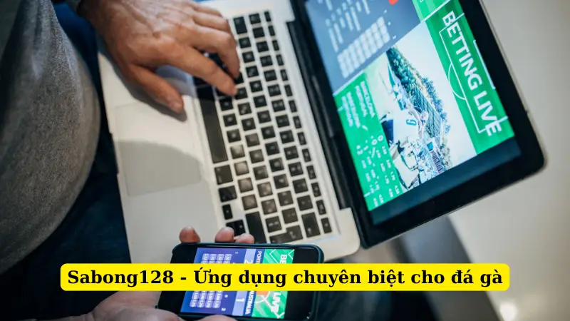Sabong128 - Ứng dụng chuyên biệt cho đá gà